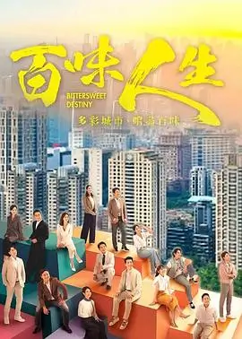 长安十二时辰 电视剧